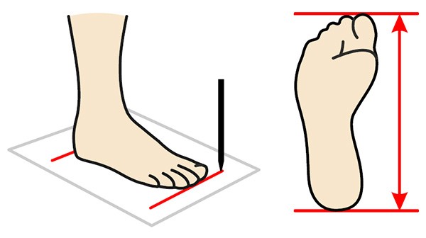 Таблица размеров