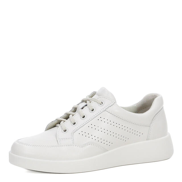 Главная страница